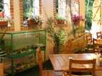 Fish restaurant - photo #5